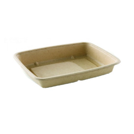 Contenitori Canna da Zucchero 600ml 230x165x30mm (300 Pezzi)