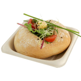 Contenitori  Bio Canna da Zucchero 13x13cm (50 Pezzi)