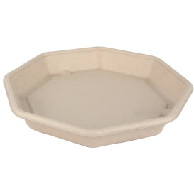Contenitori Canna da Zucchero 830ml 230x230x30mm (50 Pezzi)