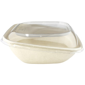 Coperchio Plastica PET Contenitori "Vision" 190x190mm (300 Pezzi)
