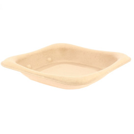 Contenitori  Bio Canna da Zucchero 13x13cm (50 Pezzi)