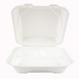 Contenitori Canna da Zucchero Bianco 3S 23x23x7,5cm (50 Pezzi)