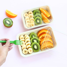 Coperchio Compostabile PLA Trasparente Contenitori Ecologico 710, 940 ml (50 Pezzi)