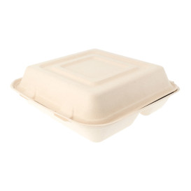 Contenitori di Canna da Zucchero 3S 250x250x75mm (250 Pezzi)