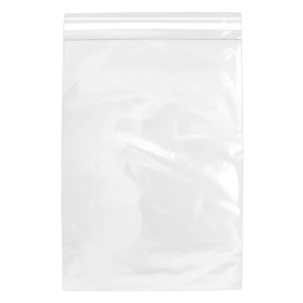 Sacchetti di Polipropilene CPP Piega Adesivo 25x35cm G160 (100 Pezzi)