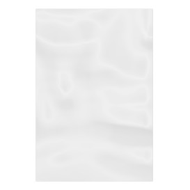 Sacchetti di Polietilene Senza Chiusura 15x30cm G100 (1000 Pezzi)