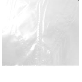 Sac a Poche PE in Rotolo 53cm (100 Pezzi)