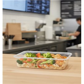 Contenitore Rettangolare in PP Trasparente 500ml 17,4x11,6x3,5cm (25 Pezzi)