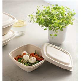 Coperchio Canna Zucchero per Ciotola 13x13cm (50 Pezzi)