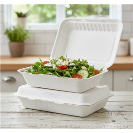 Contenitori Canna da Zucchero Bianco 26x16x6cm (50 Pezzi)